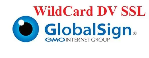 GlobalSign Wildcard DV SSL