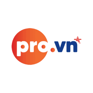 Tên miền .pro.vn