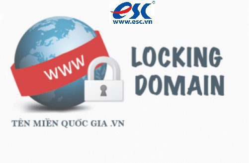 BẢO VỆ TÊN MIỀN VỚI LOCKING DOMAIN TẠI escvn.com