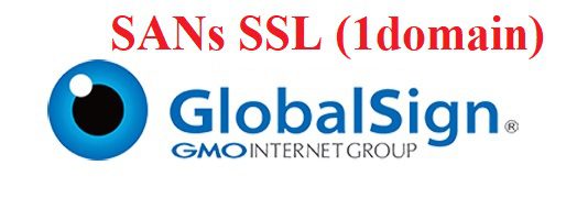 GlobalSign SANs SSL domain