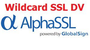 globalsign_wildcard-sslDV