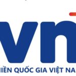 tên miền .vn