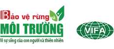 logo-bvmt