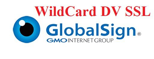 GlobalSign WildCard DV SSL